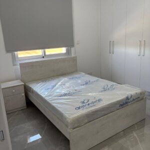2 Bedroom Apartment for Rent in Kato Polemidia, Limassol District