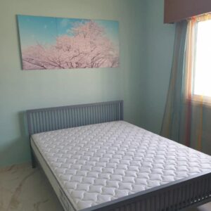3 Bedroom Apartment for Rent in Limassol – Neapolis