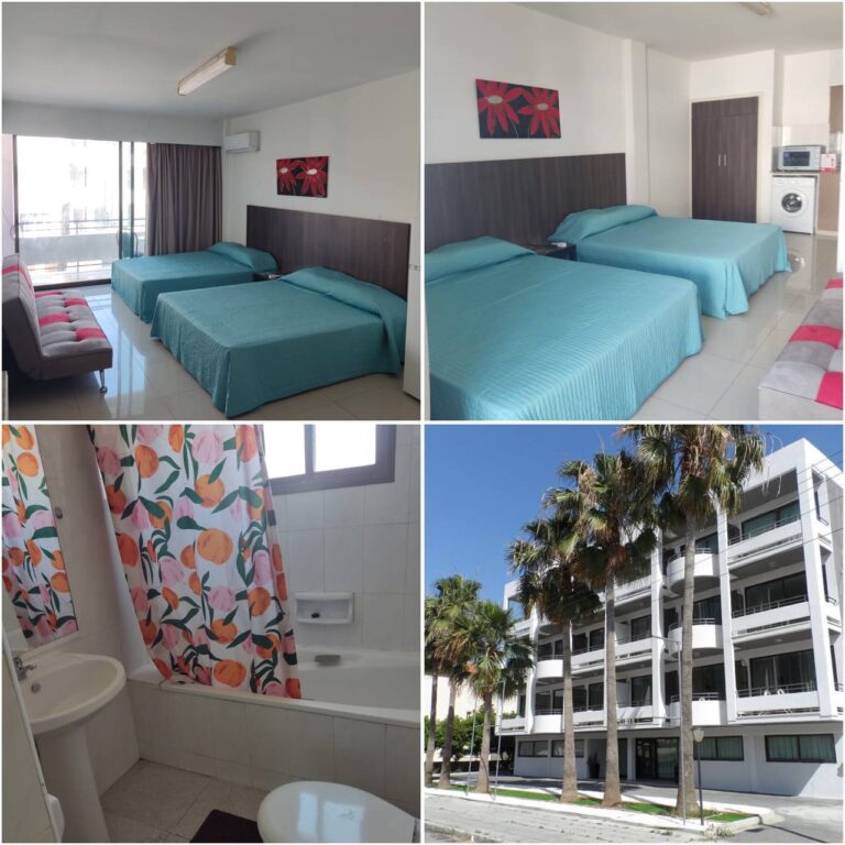 6+ Bedroom Apartment for Rent in Limassol