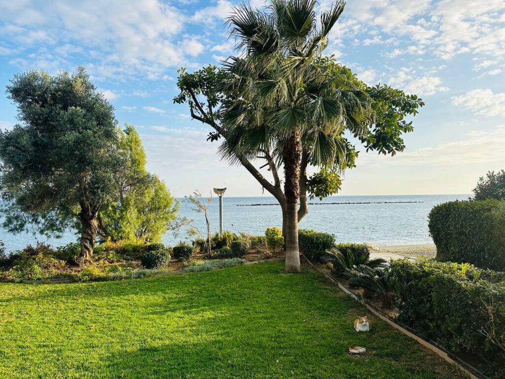 for Rent in Germasogeia, Limassol District