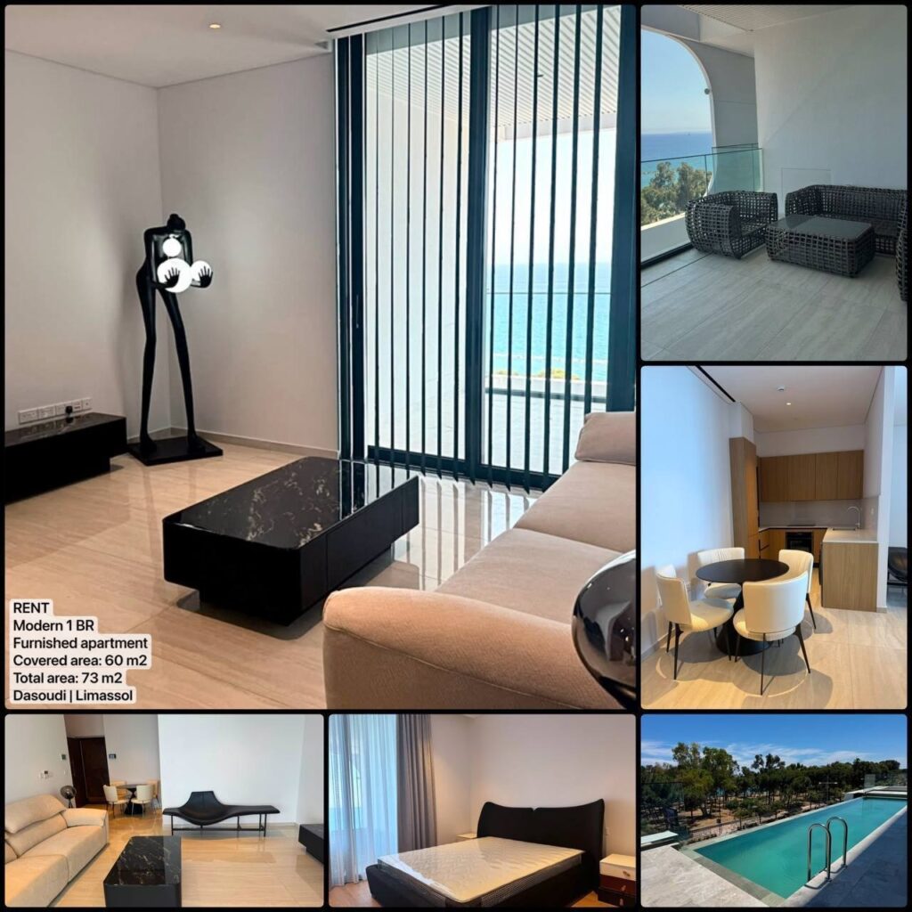 1 Bedroom Apartment for Rent in Limassol