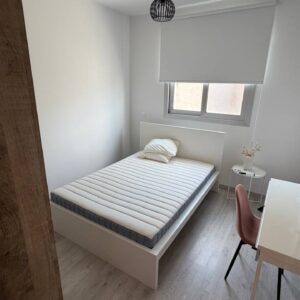 1 Bedroom Apartment for Rent in Nicosia