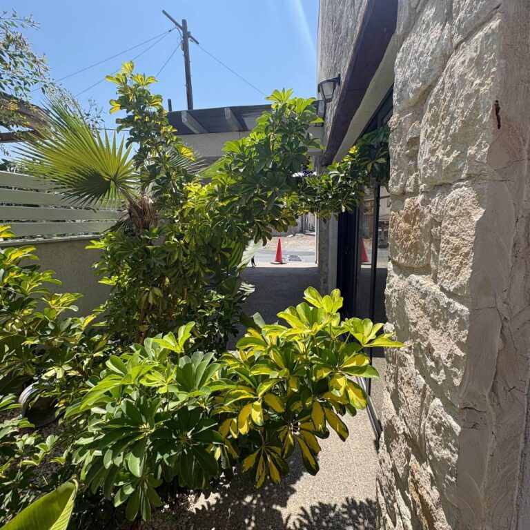3 Bedroom House for Rent in Pyrgos Lemesou, Limassol District