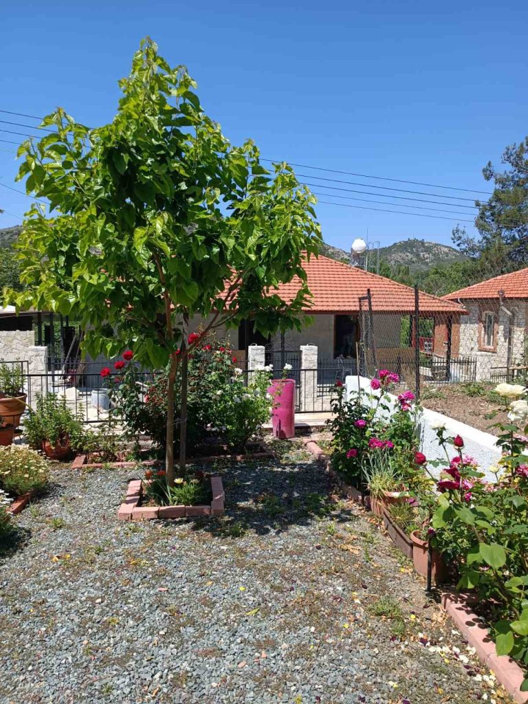 2-bed furnished house in Pera Pedi, Limassol district photo 5