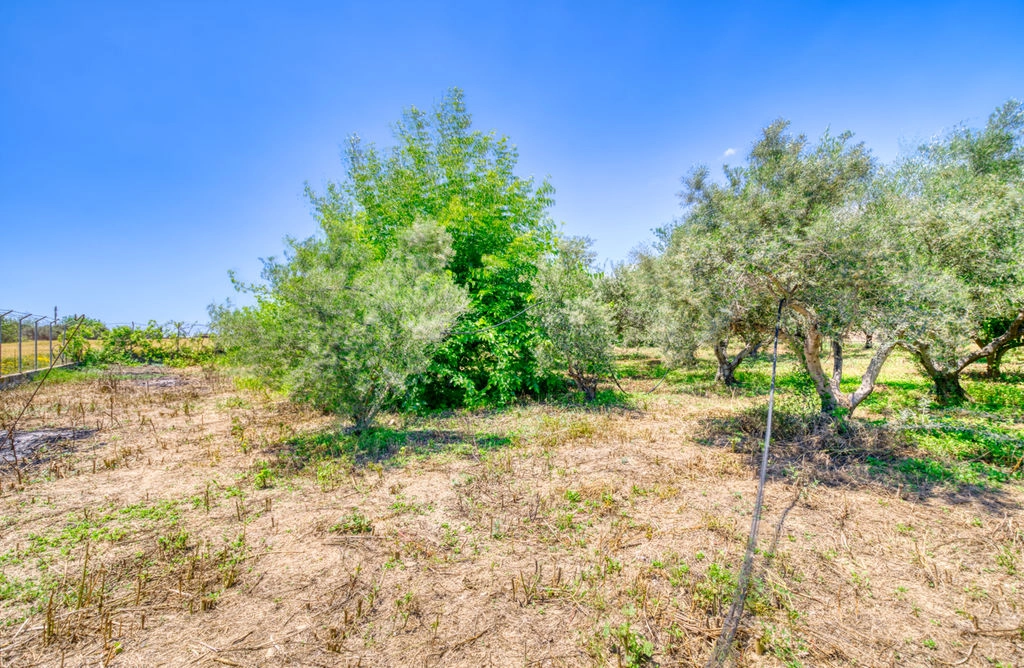 5 Bedroom House for Sale in Kiti, Larnaca District
