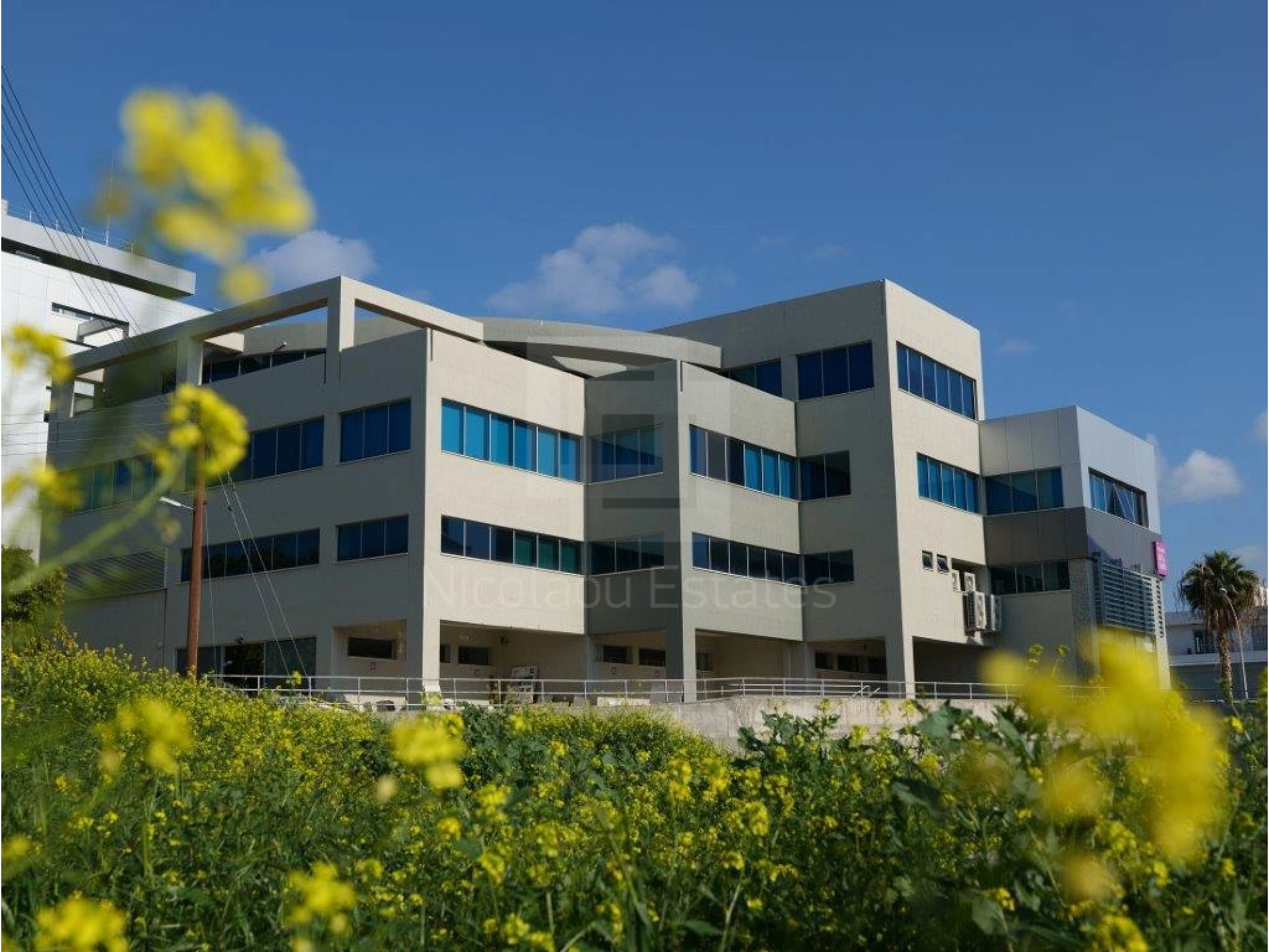 810m² Office for Rent in Limassol – Agios Athanasios