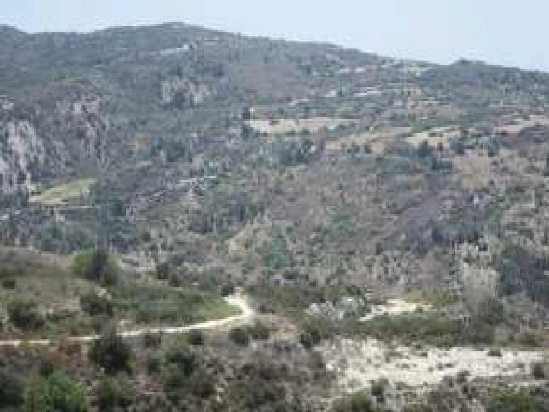 7,693m² Plot for Sale in Pegeia, Paphos District