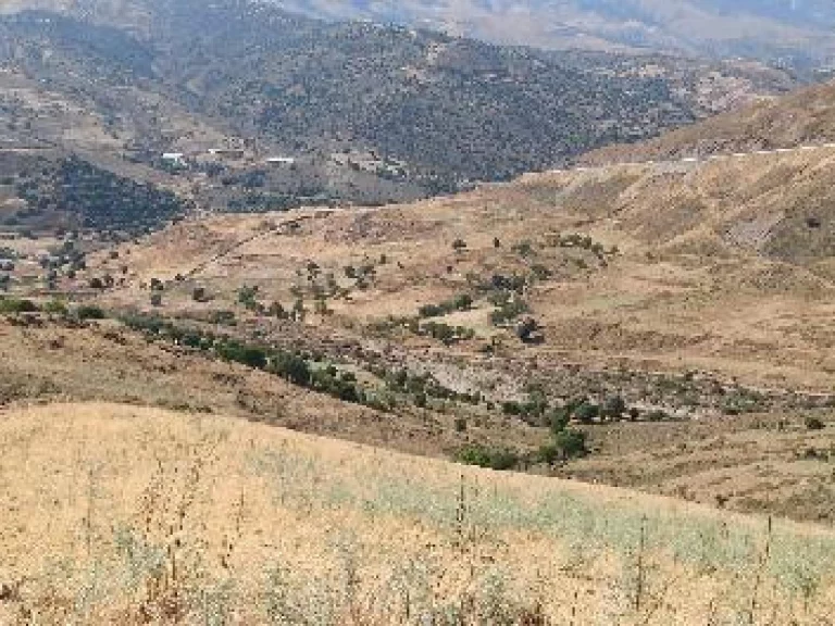 16,389m² Plot for Sale in Kelokedara, Paphos District