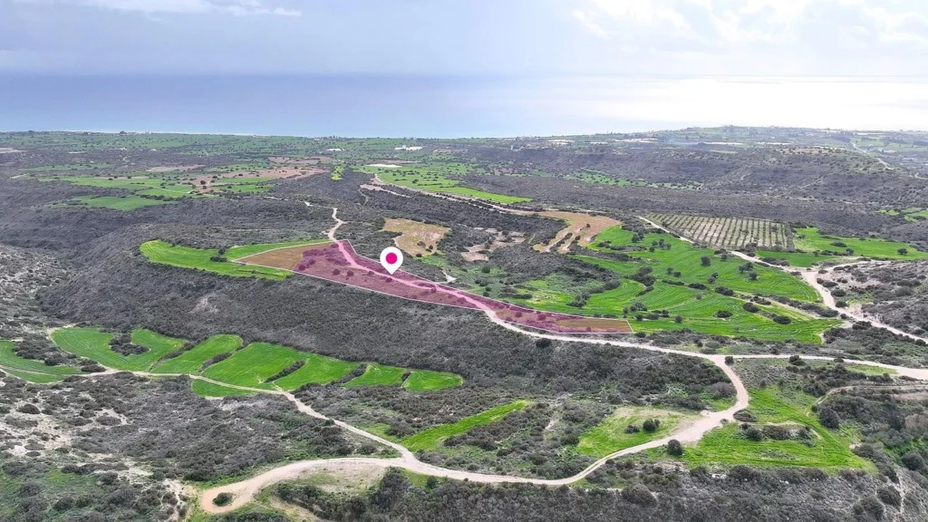 15,051m² Plot for Sale in Paphos – Agios Theodoros, Larnaca District