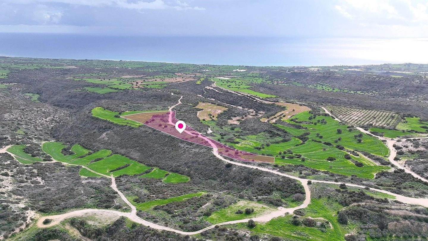 15,051m² Plot for Sale in Paphos – Agios Theodoros, Larnaca District