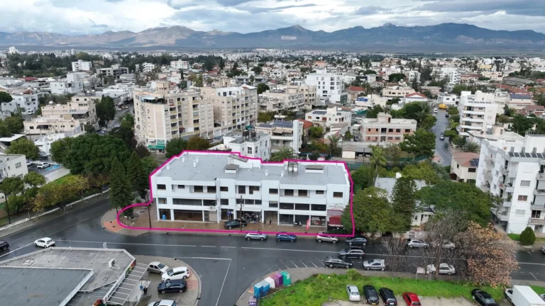 1194m² Building for Sale in Nicosia – Pallouriotissa