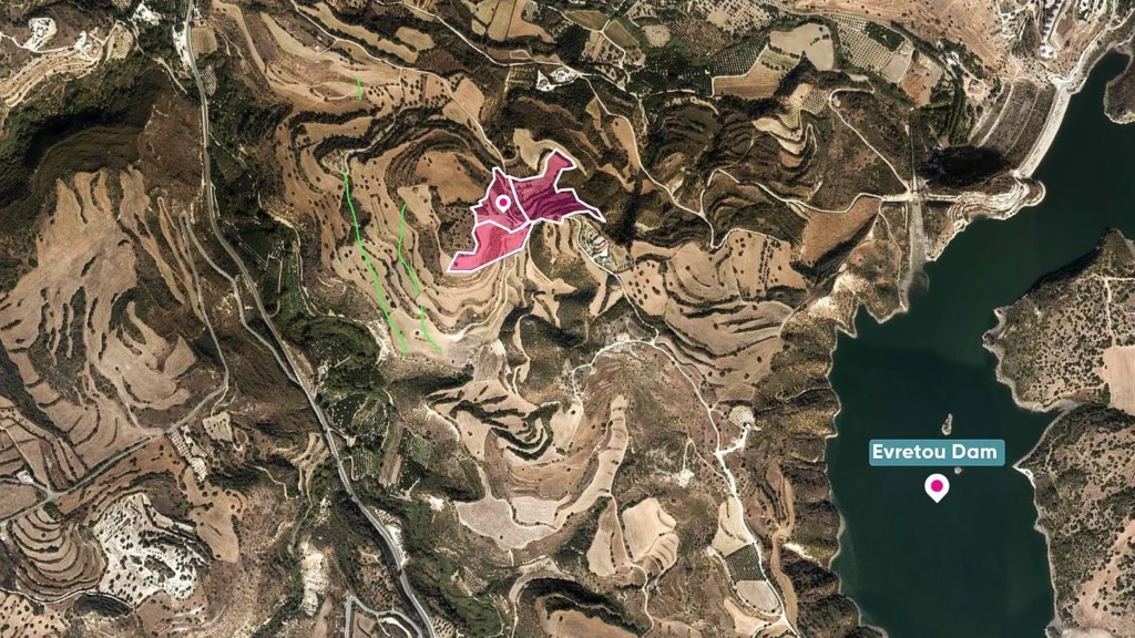 35,788m² Plot for Sale in Skoulli, Paphos District