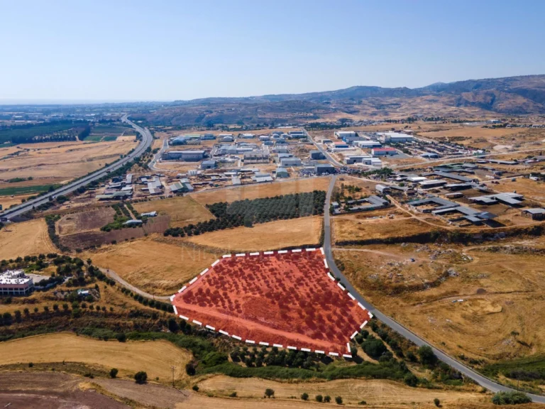 5,320m² Plot for Sale in Timi, Paphos District