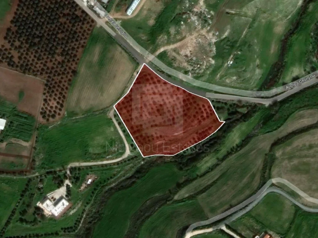 5,320m² Plot for Sale in Timi, Paphos District