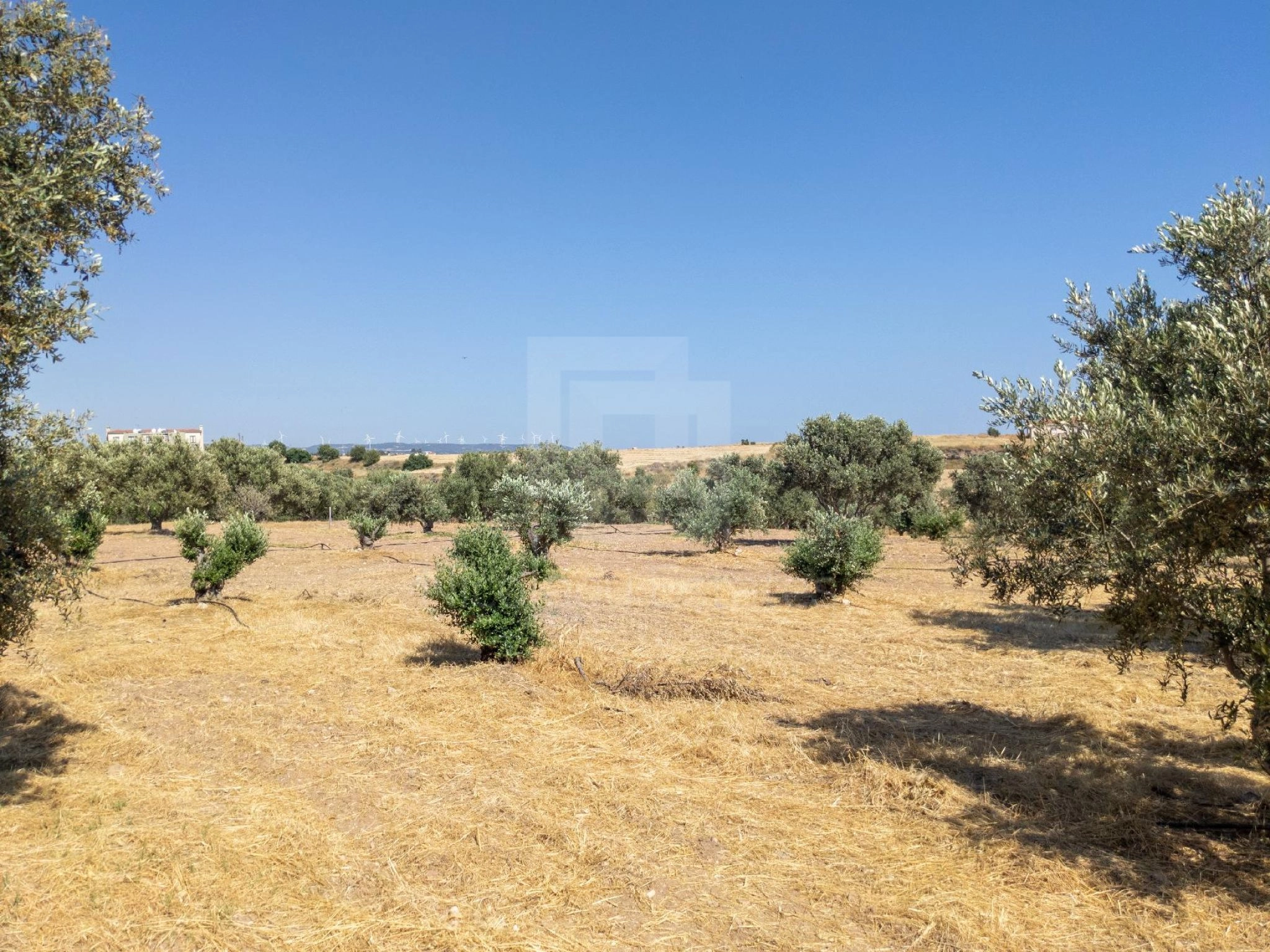 5,320m² Plot for Sale in Timi, Paphos District
