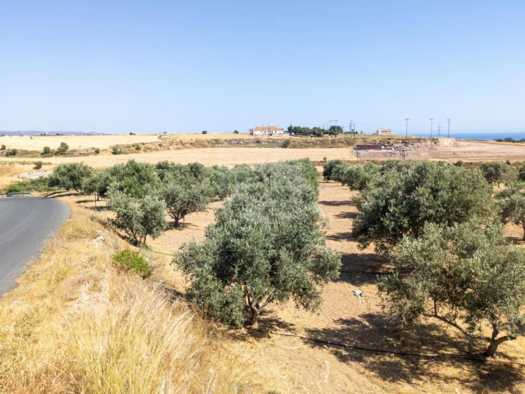 5,320m² Plot for Sale in Timi, Paphos District