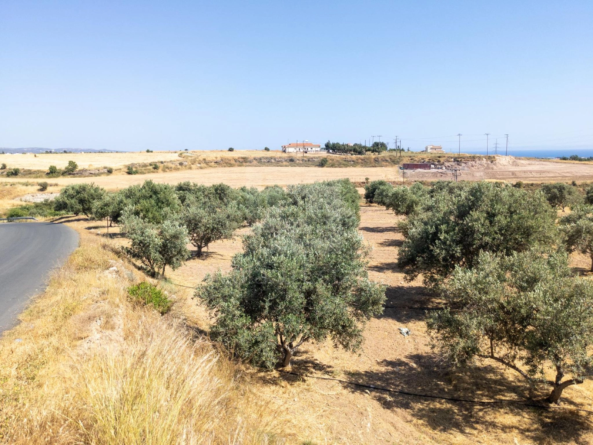 5,320m² Plot for Sale in Timi, Paphos District
