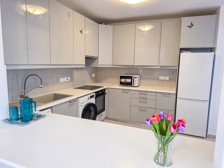 3 Bedroom Apartment for Rent in Mouttagiaka, Limassol District