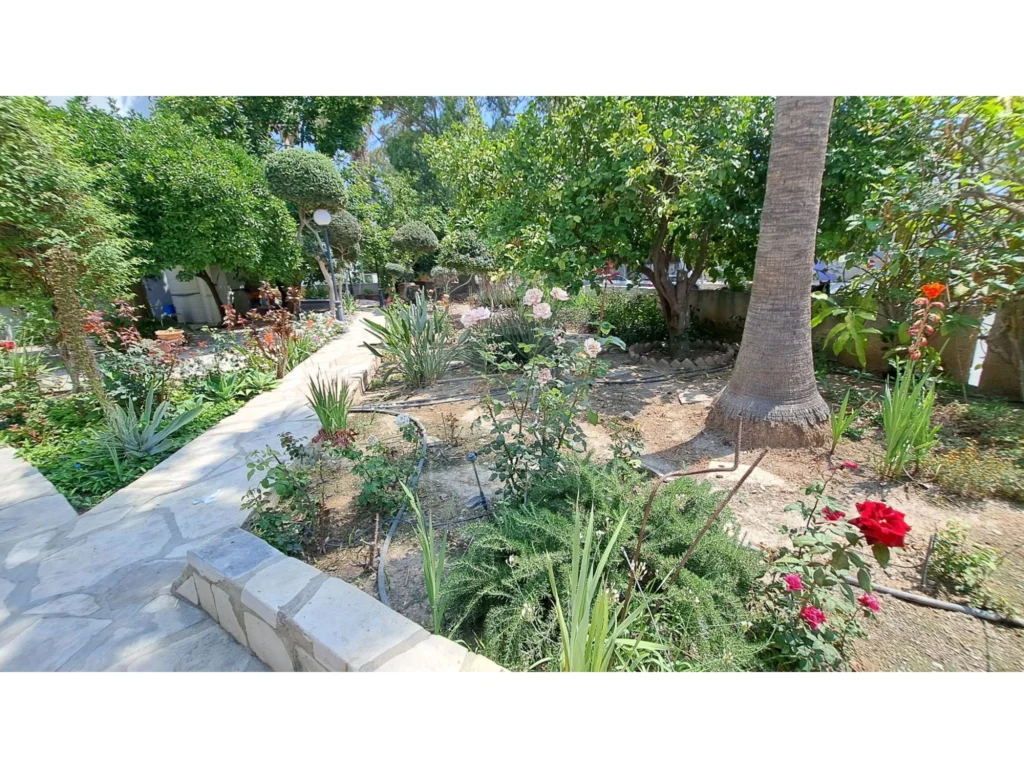 3 Bedroom Apartment for Rent in Limassol District