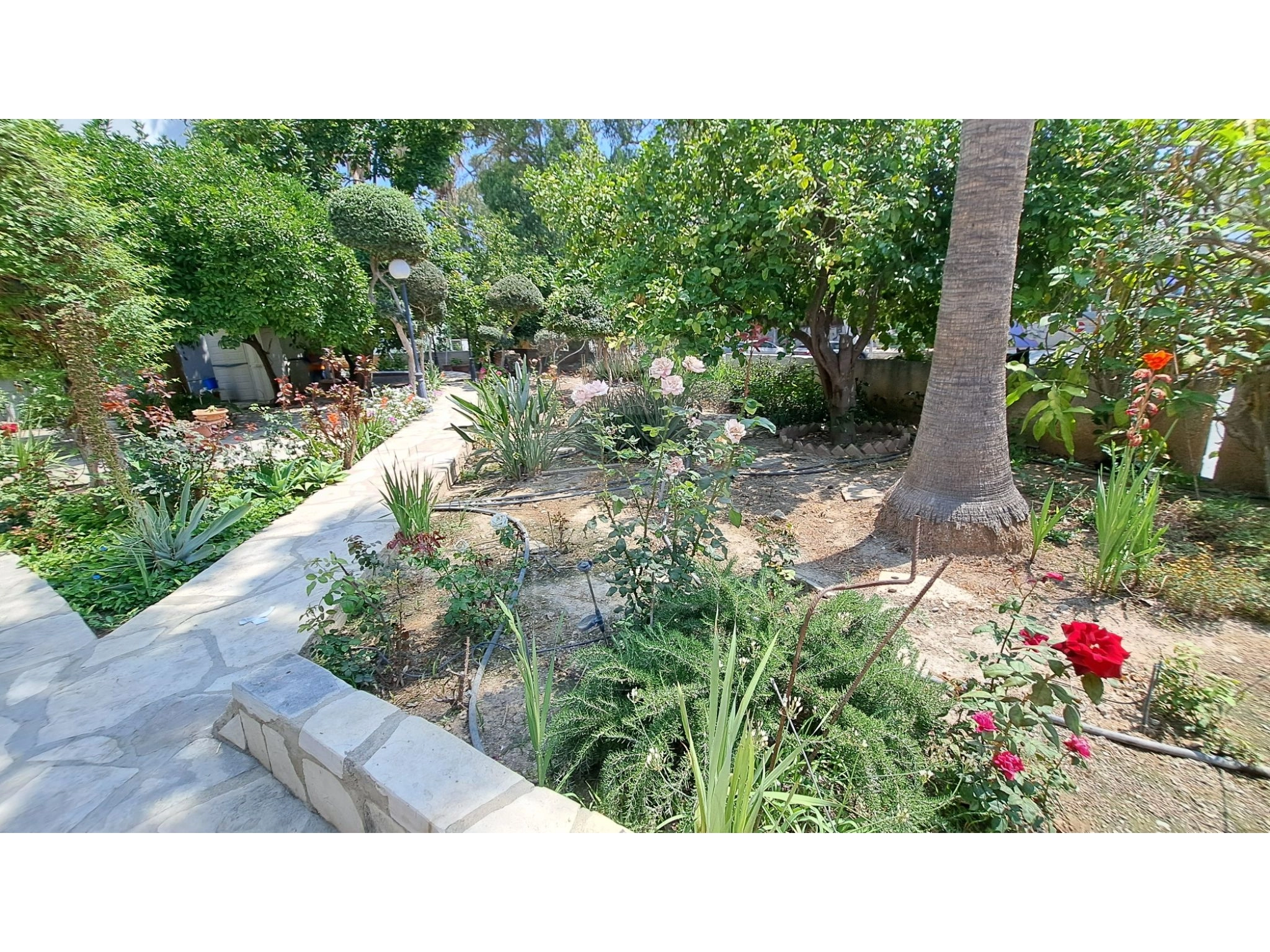 3 Bedroom Apartment for Rent in Limassol District