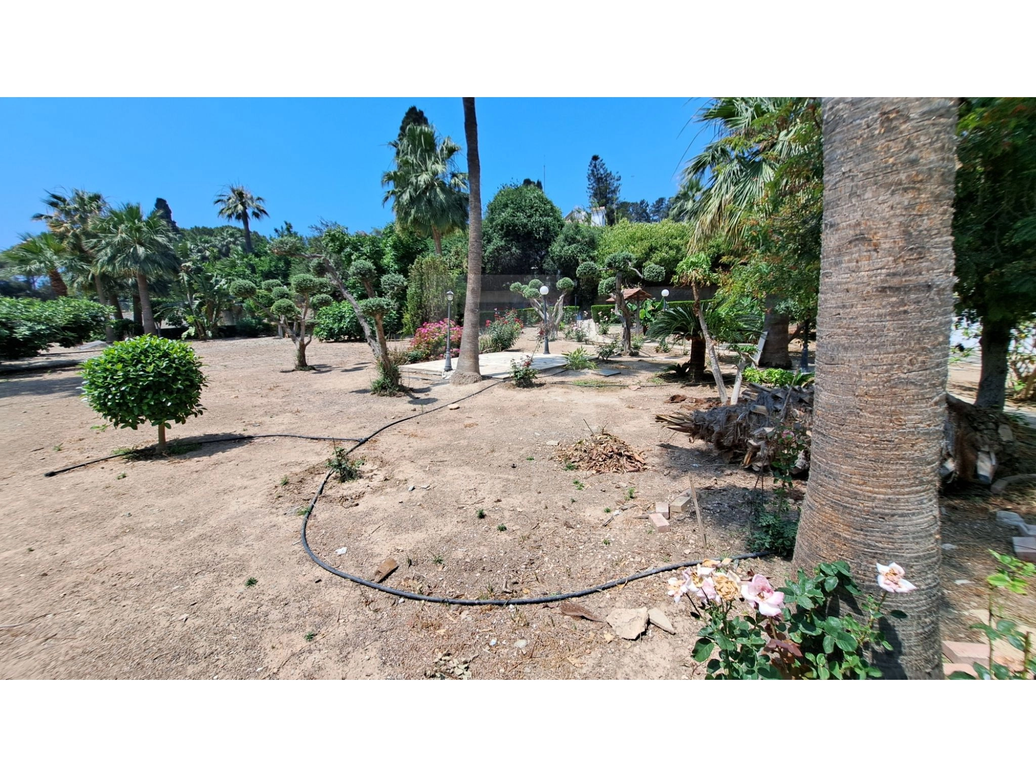 3 Bedroom Apartment for Rent in Limassol District