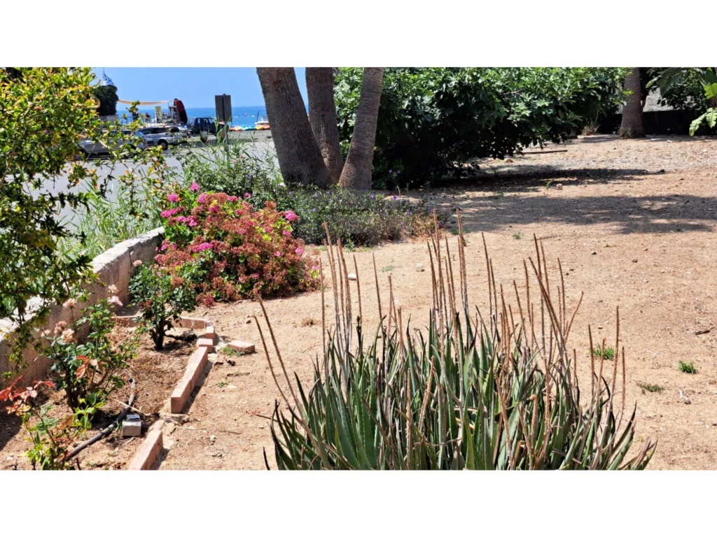 3 Bedroom Apartment for Rent in Limassol District