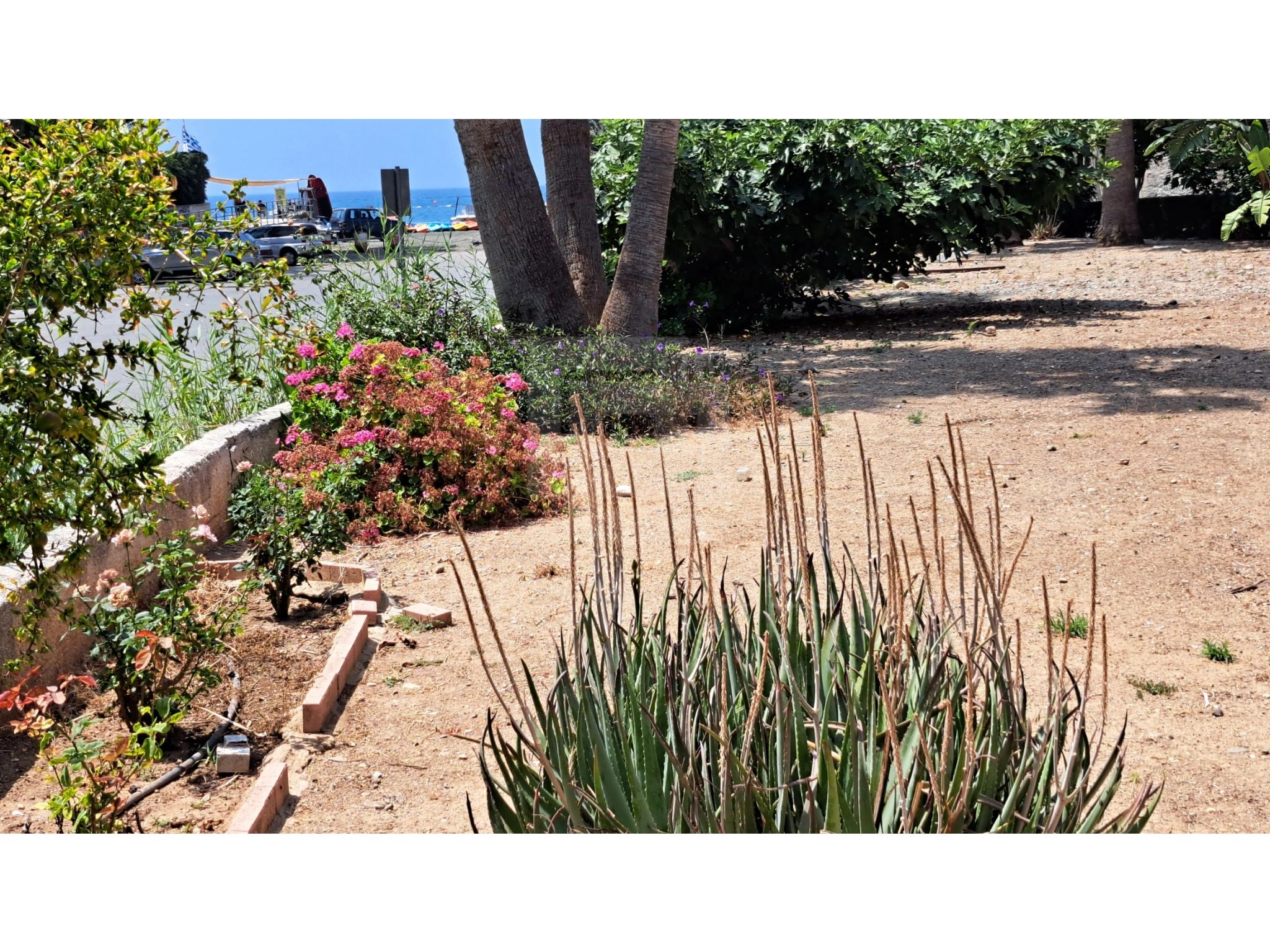 3 Bedroom Apartment for Rent in Limassol District