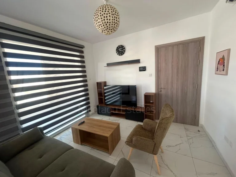 2 Bedroom Apartment for Rent in Larnaca District