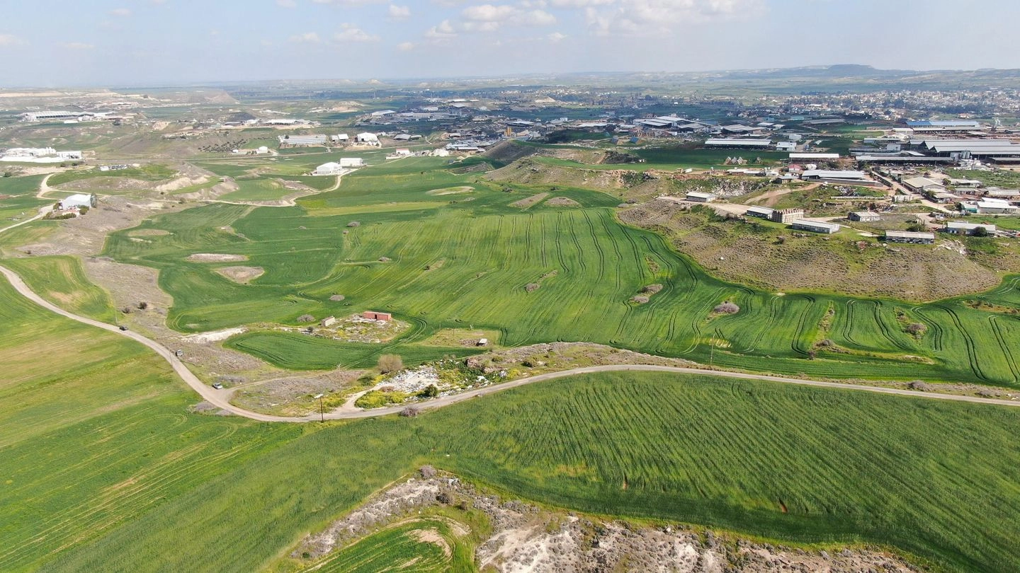 13,962m² Plot for Sale in Nisou, Nicosia District