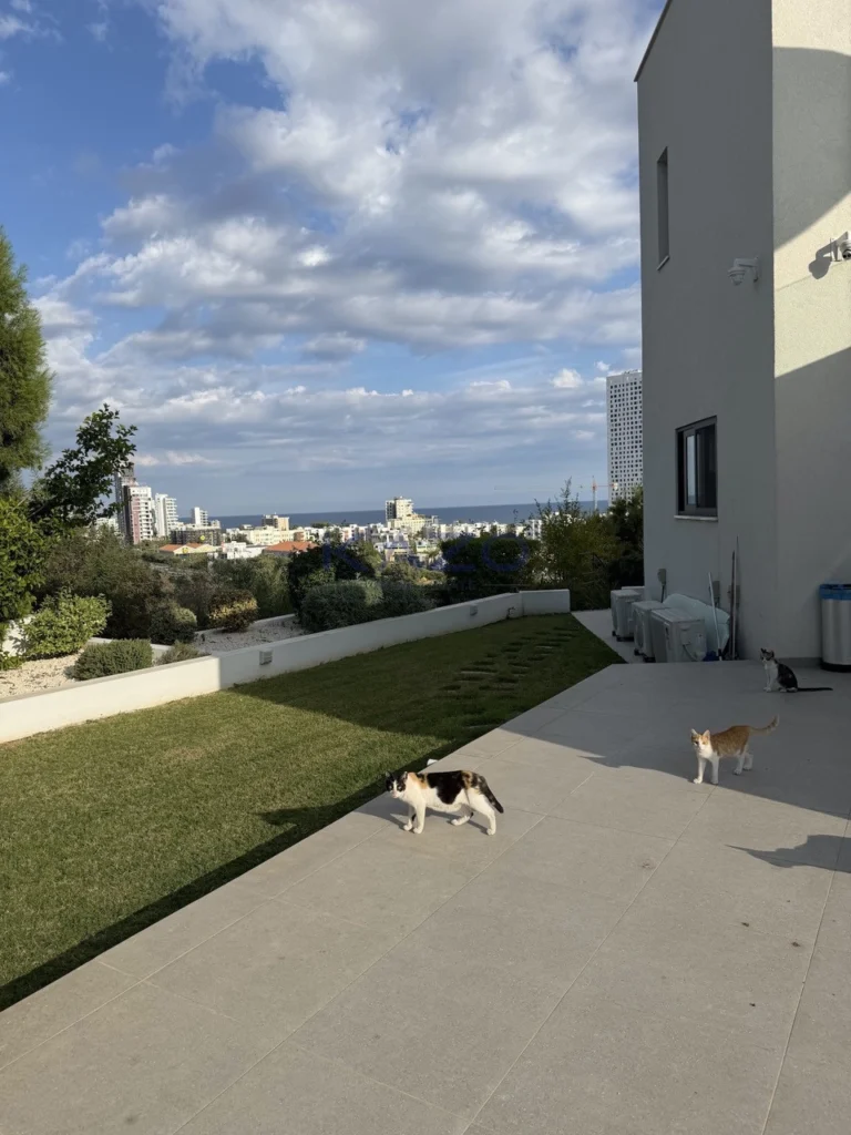 4 Bedroom House for Rent in Limassol District