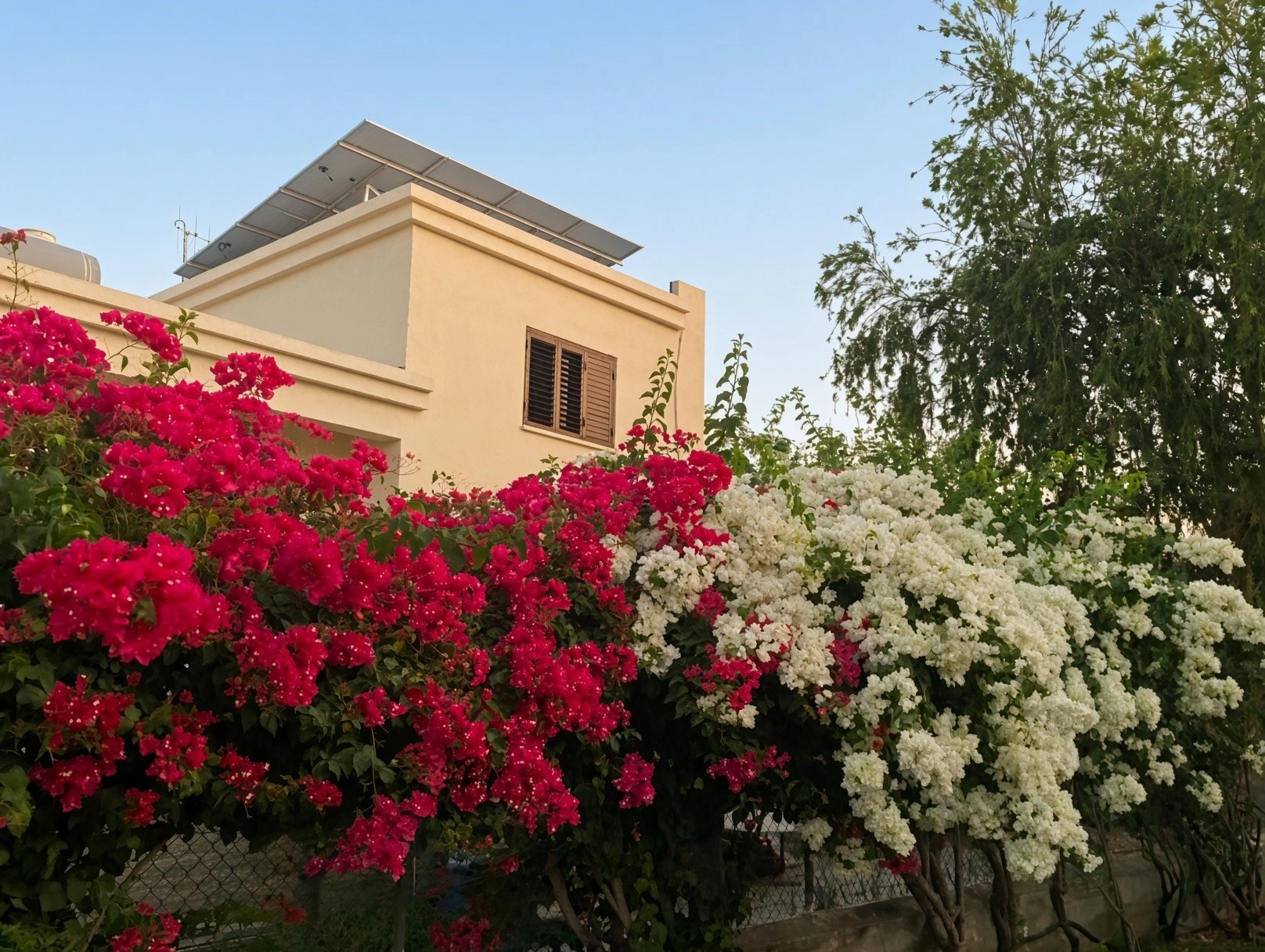 3 Bedroom House for Rent in Latsia, Nicosia District