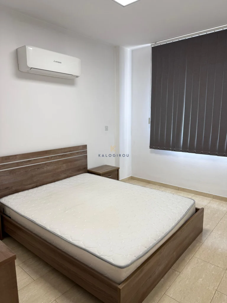 1 Bedroom Apartment for Rent in Larnaca District