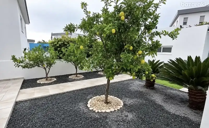 4 Bedroom House for Rent in Parekklisia, Limassol District