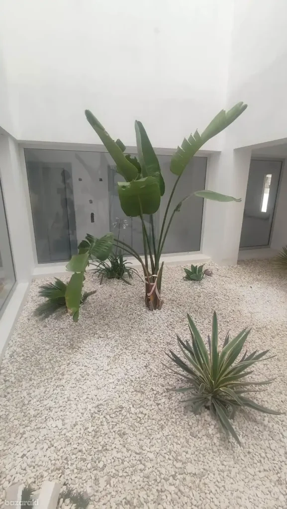 3 Bedroom Apartment for Sale in Limassol – Agios Athanasios