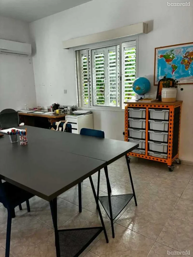 6+ Bedroom House for Rent in Limassol – Katholiki