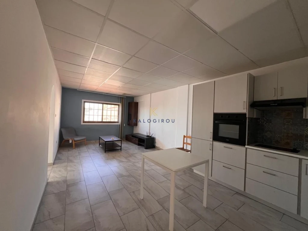 510m² Building for Rent in Oroklini, Larnaca District