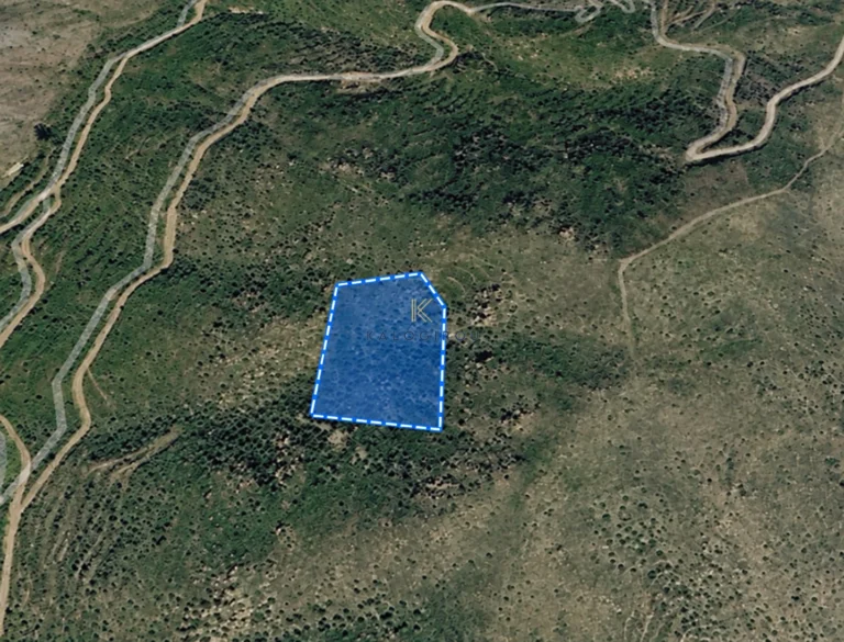 9,286m² Plot for Sale in Ora, Larnaca District