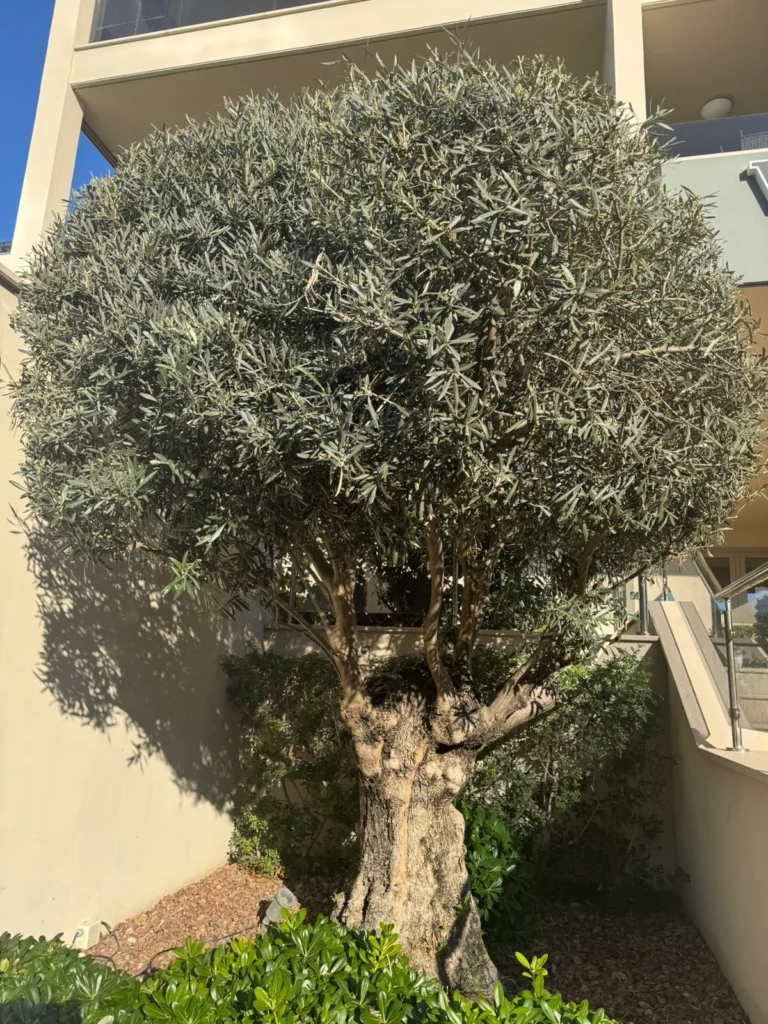 3 Bedroom Apartment for Sale in Limassol District