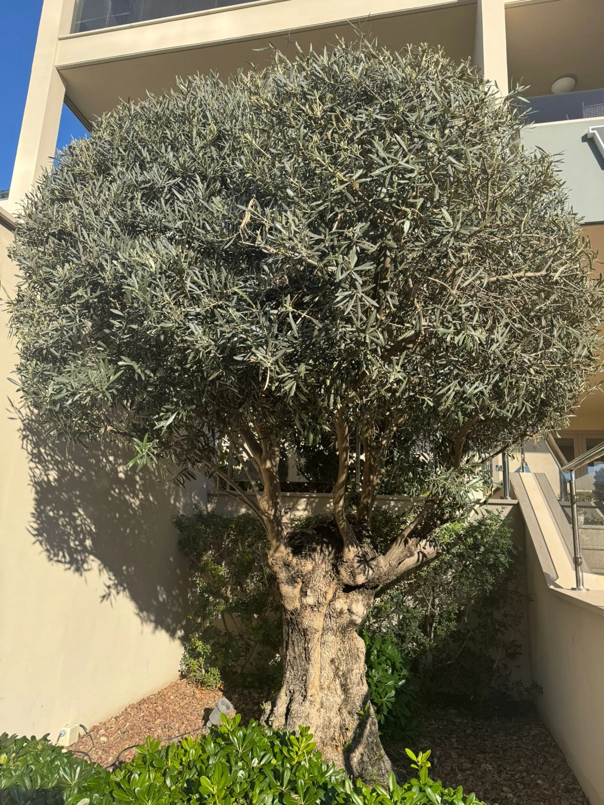 3 Bedroom Apartment for Sale in Limassol District