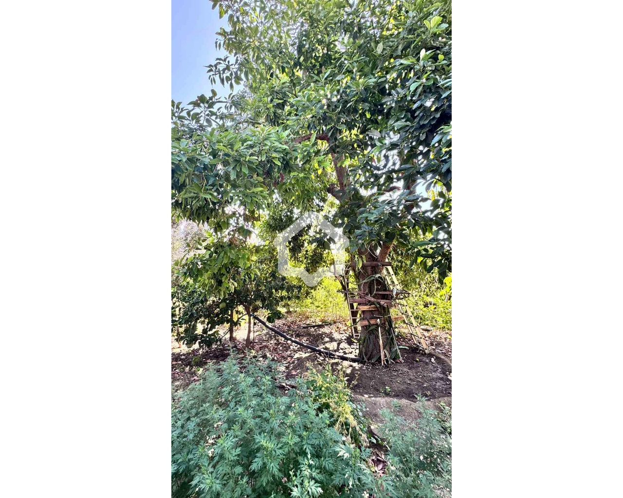 655m² Plot for Sale in Temvria, Nicosia District