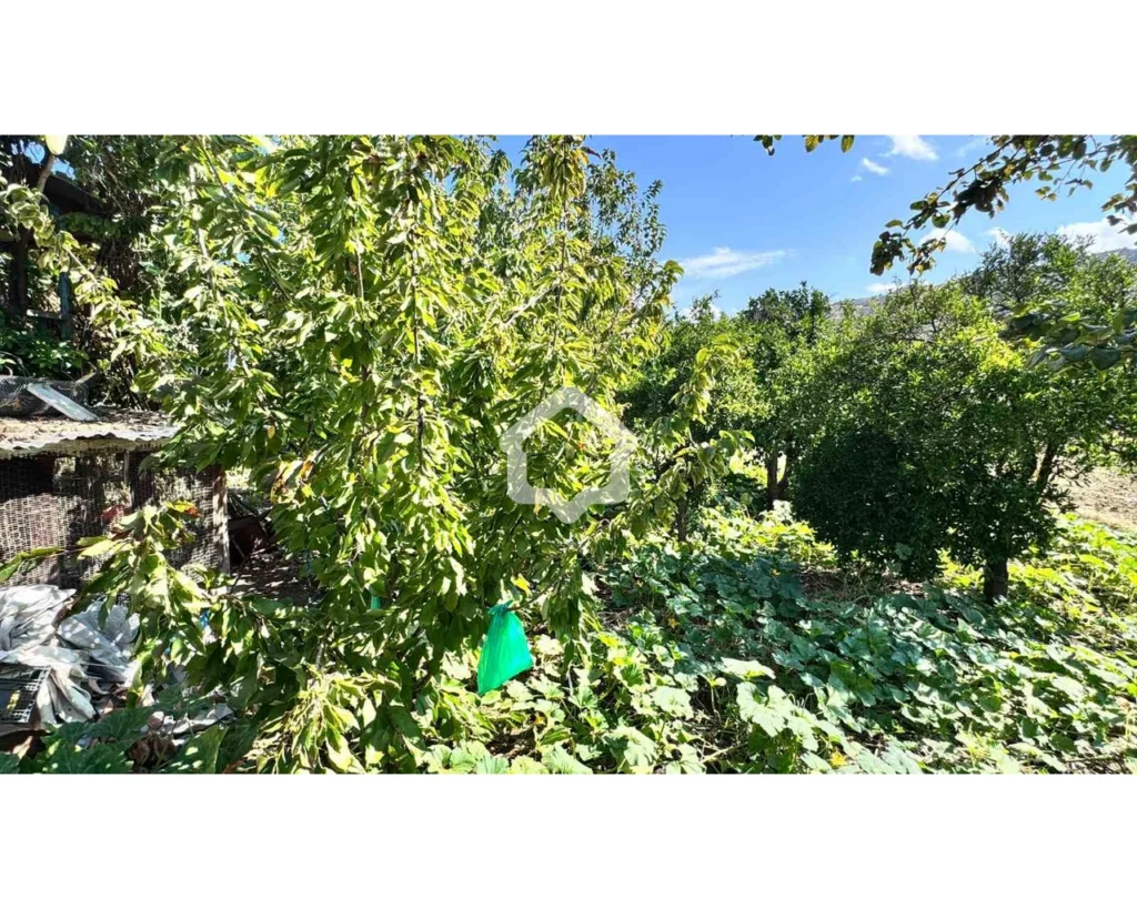 655m² Plot for Sale in Temvria, Nicosia District