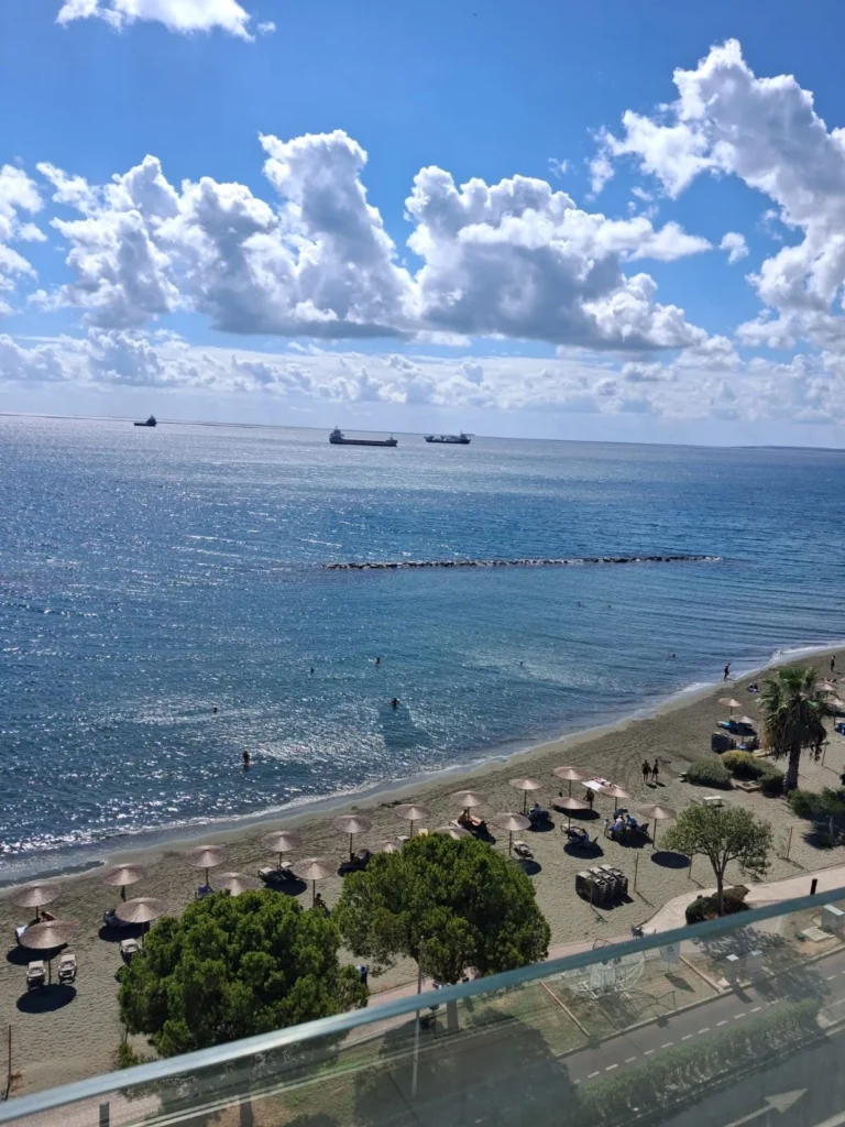 170m² Office for Rent in Agia Triada, Limassol District