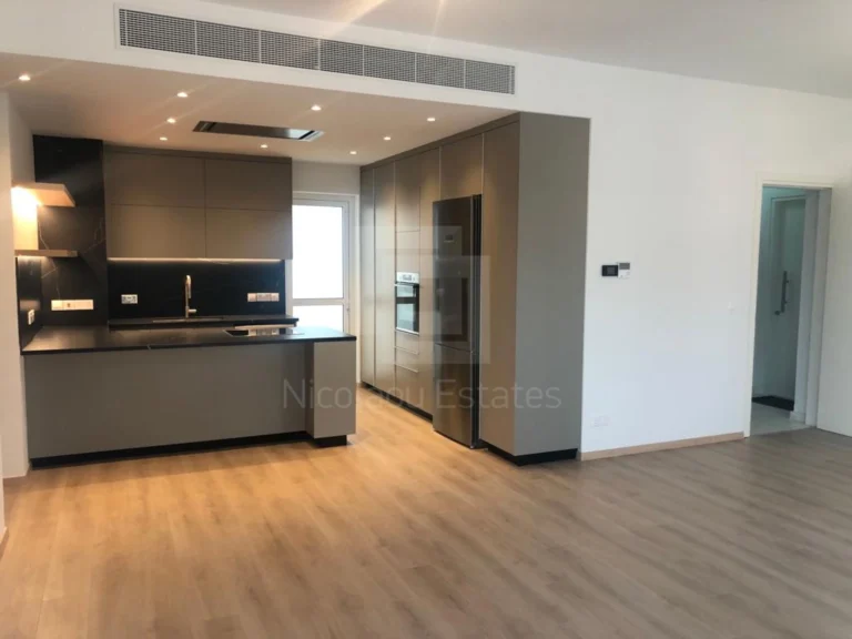 3 Bedroom Apartment for Rent in Nicosia District