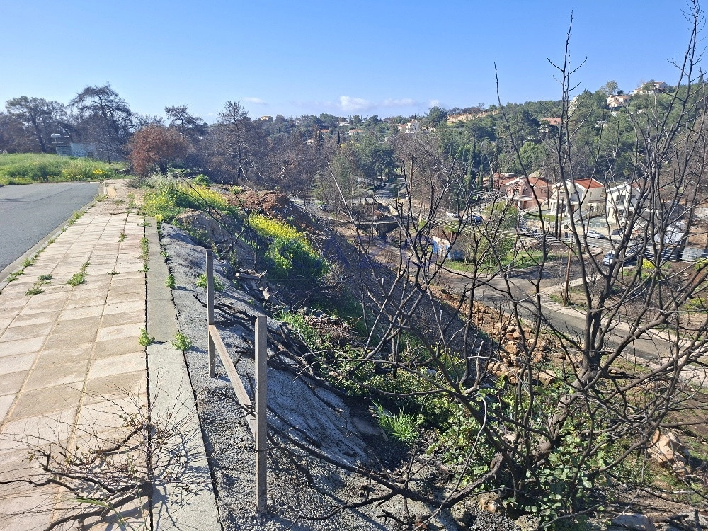 3,910m² Plot for Sale in Souni, Limassol District