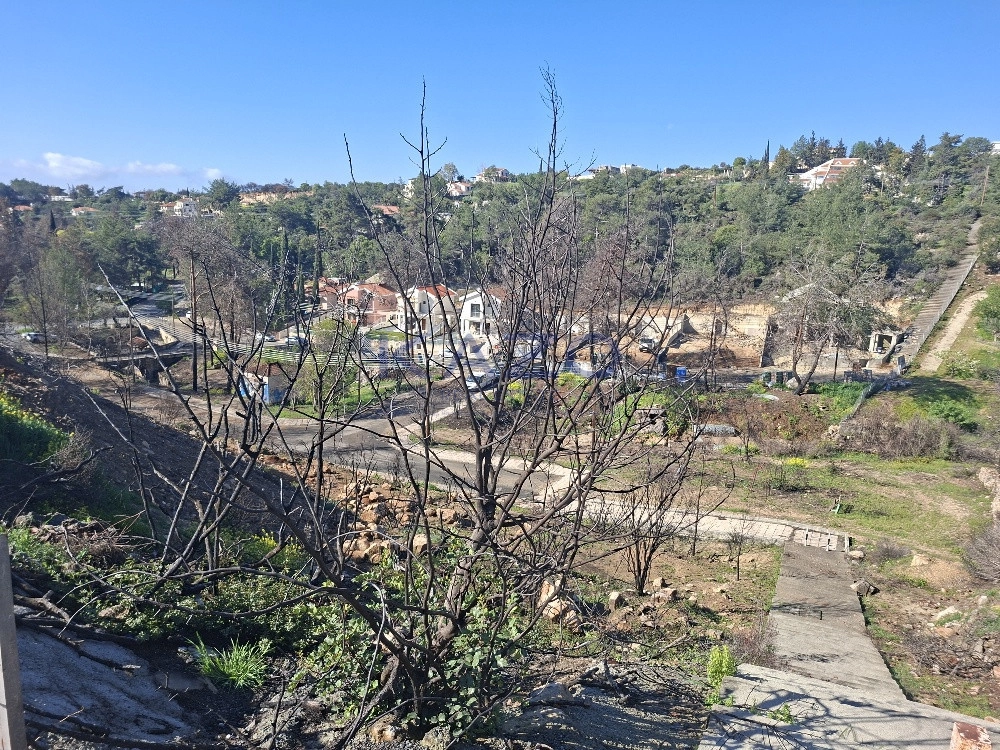 3,910m² Plot for Sale in Souni, Limassol District