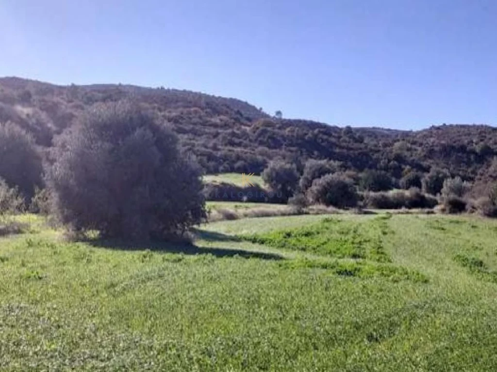 19,064m² Plot for Sale in Kalavasos, Larnaca District