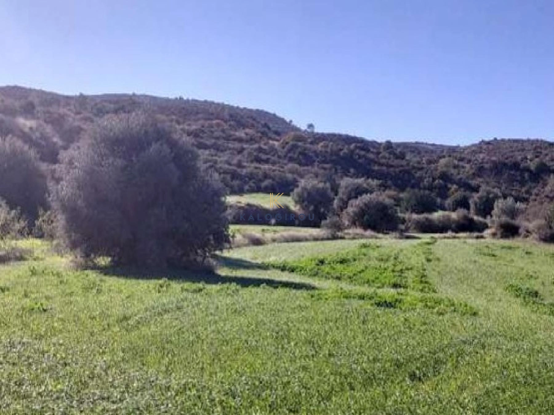 19,064m² Plot for Sale in Kalavasos, Larnaca District