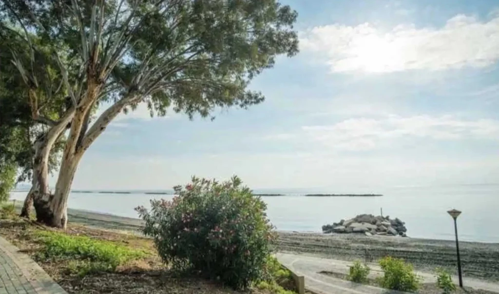 3 Bedroom Apartment for Sale in Limassol District