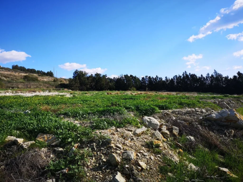 1,100m² Plot for Sale in Agios Tychonas, Limassol District