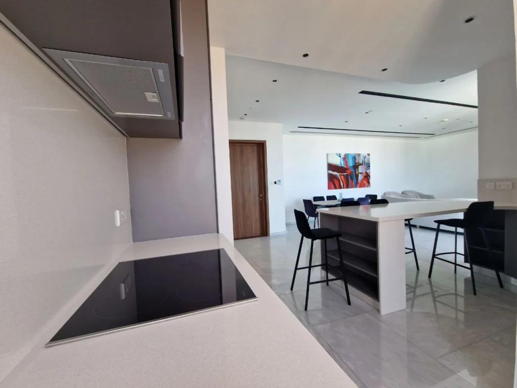 2-bed furnished apartment for rent in central Nicosia photo 3